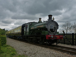   790
