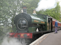   768
