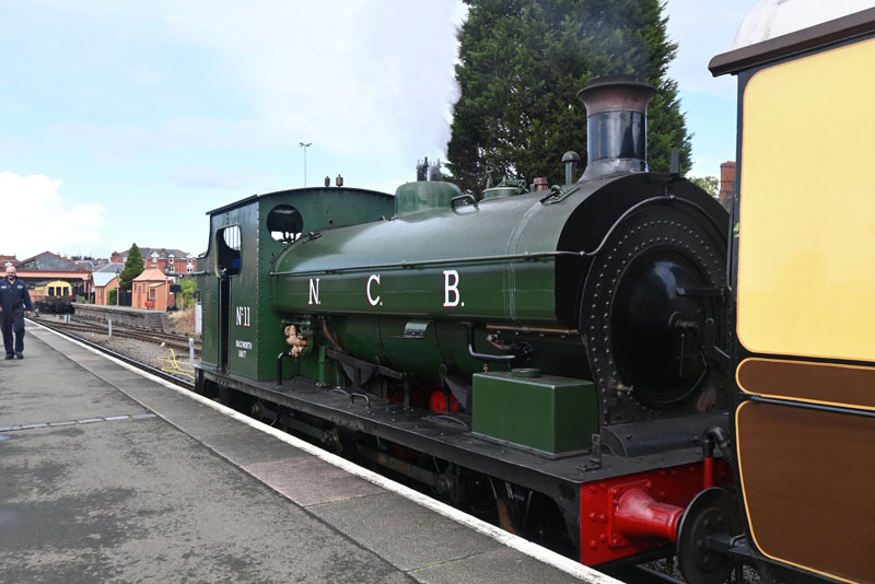 NCB 11