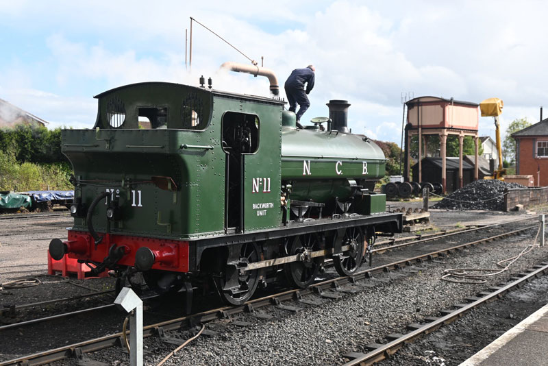 NCB 11
