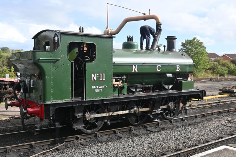 NCB 11