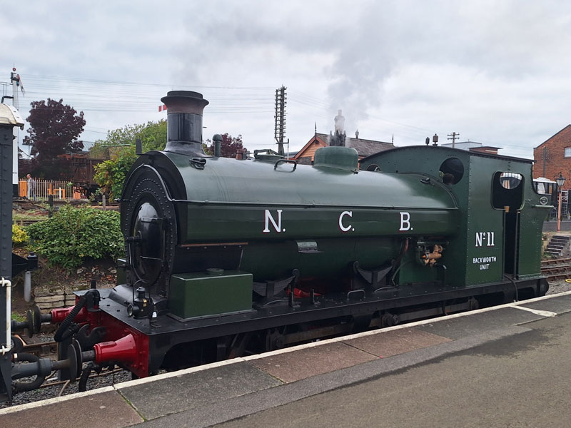 NCB 11