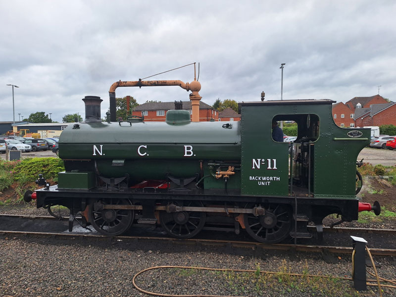 NCB 11