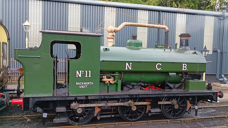 NCB 11