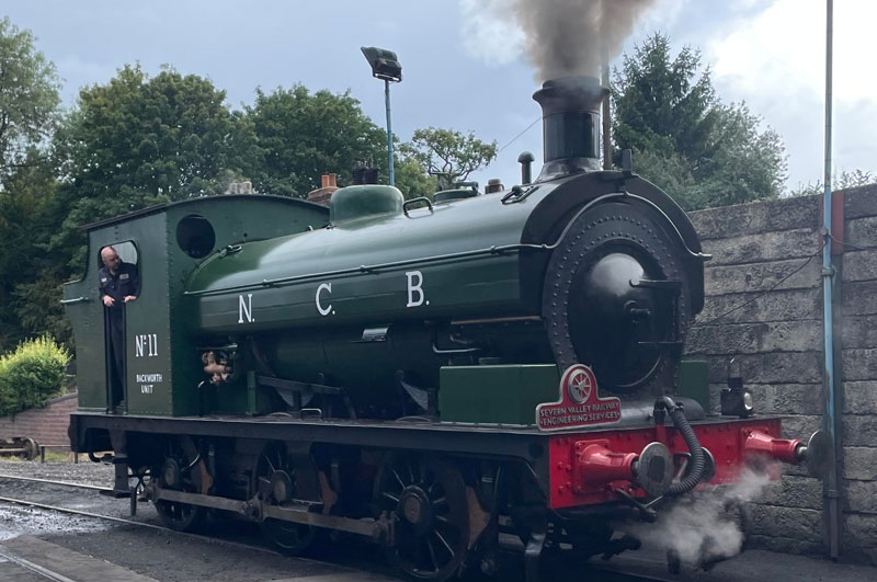 NCB 11