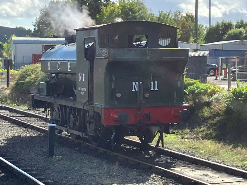 NCB 11