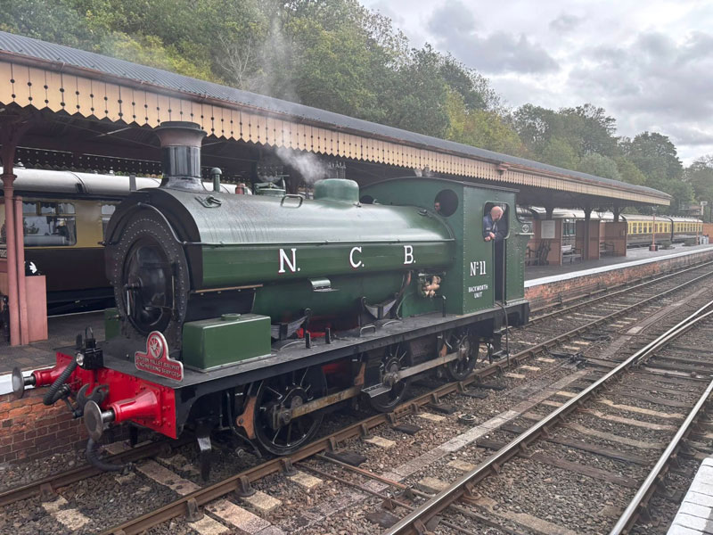 NCB 11