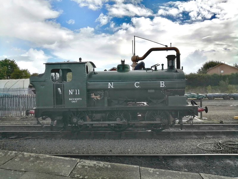 NCB 11